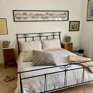 https://ginko-castrocaro-terme.emilia-romagnahotels.net
